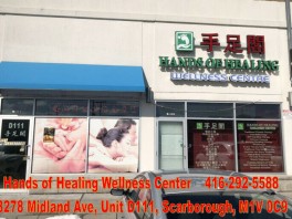 Hands of Healing Wellness Centre (手足阁)