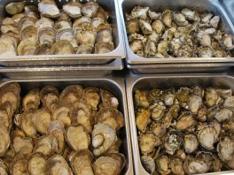 Seasonal Oysters