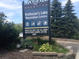 Professor's Lake