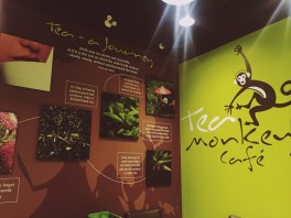 Tea Monkey Cafe