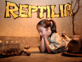 Reptilia Zoo