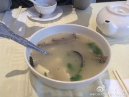 黄鳝骨豆腐汤