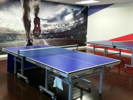 Recreational tables