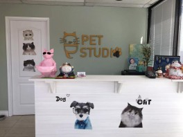 C&D Pet Studio